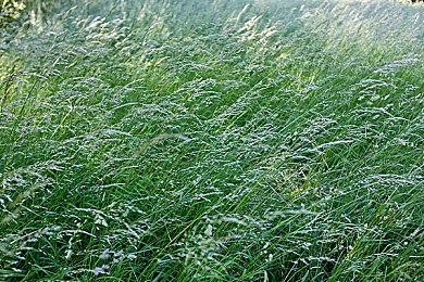 《怪物猎人：荒野》第二支故事预告发布 中字